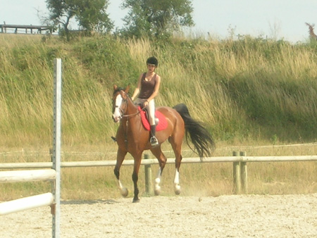 DSCN0806
