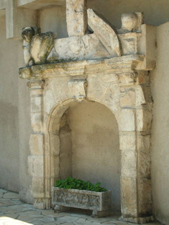 DSCN0919