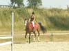 DSCN0806